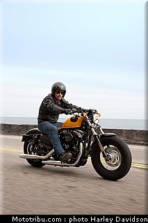 xl1200x_forty_eight_04_harley_davidson_sporster_2012.jpg