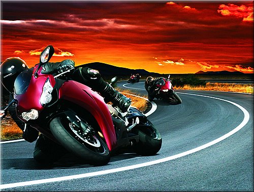 honda-1000cbr-2008-0002.jpg