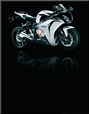 honda-1000cbr-2008-0113.jpg