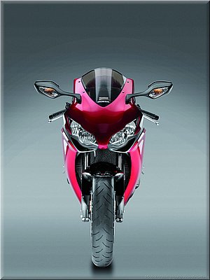 honda-1000cbr-2008-0124.jpg