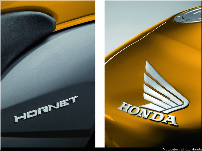 honda_600hornet_2008_043
