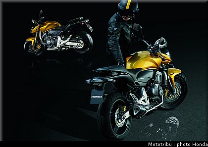 honda_600hornet_2008_002.jpg