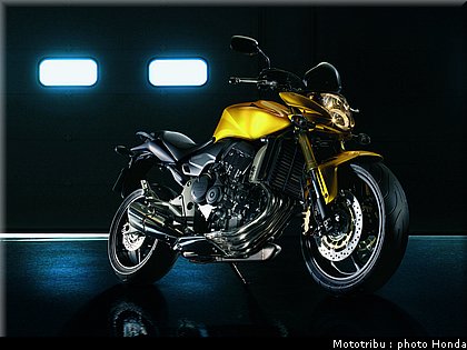 honda_600hornet_2008_003.jpg