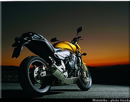 honda_600hornet_2008_005.jpg