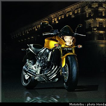 honda_600hornet_2008_006.jpg