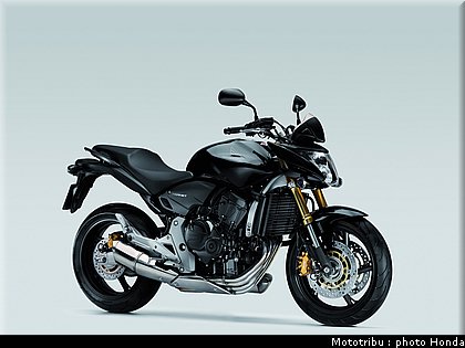 honda_600hornet_2008_012.jpg