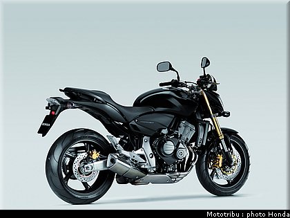 honda_600hornet_2008_013.jpg