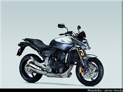 honda_600hornet_2008_016.jpg