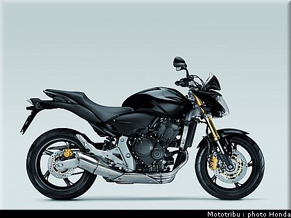 honda_600hornet_2008_022.jpg