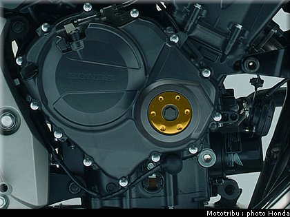 honda_600hornet_2008_042.jpg
