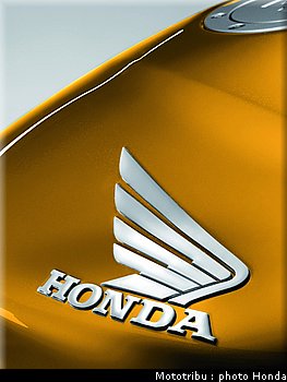 honda_600hornet_2008_054.jpg