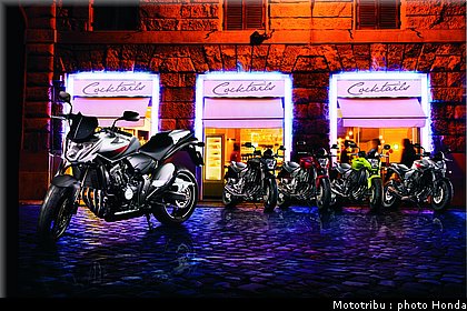 honda_600hornet_2009_0011.jpg