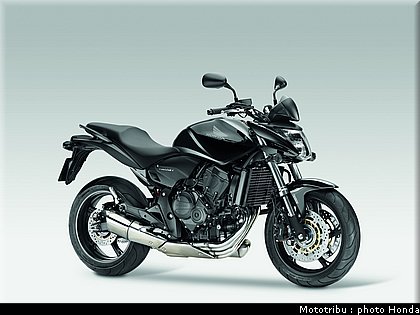 honda_600hornet_2009_0039.jpg
