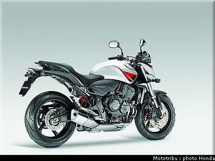 honda_600hornet_2009_0045.jpg