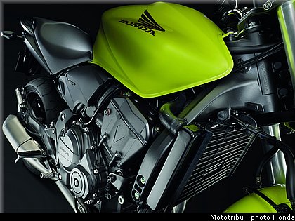 honda_600hornet_2009_0082.jpg