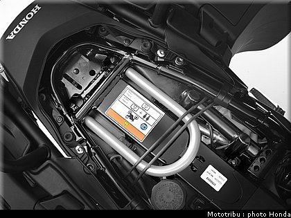 honda_cross_runner_2011_045.jpg