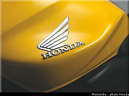 honda_hornet_600_cbf_2011_027.jpg