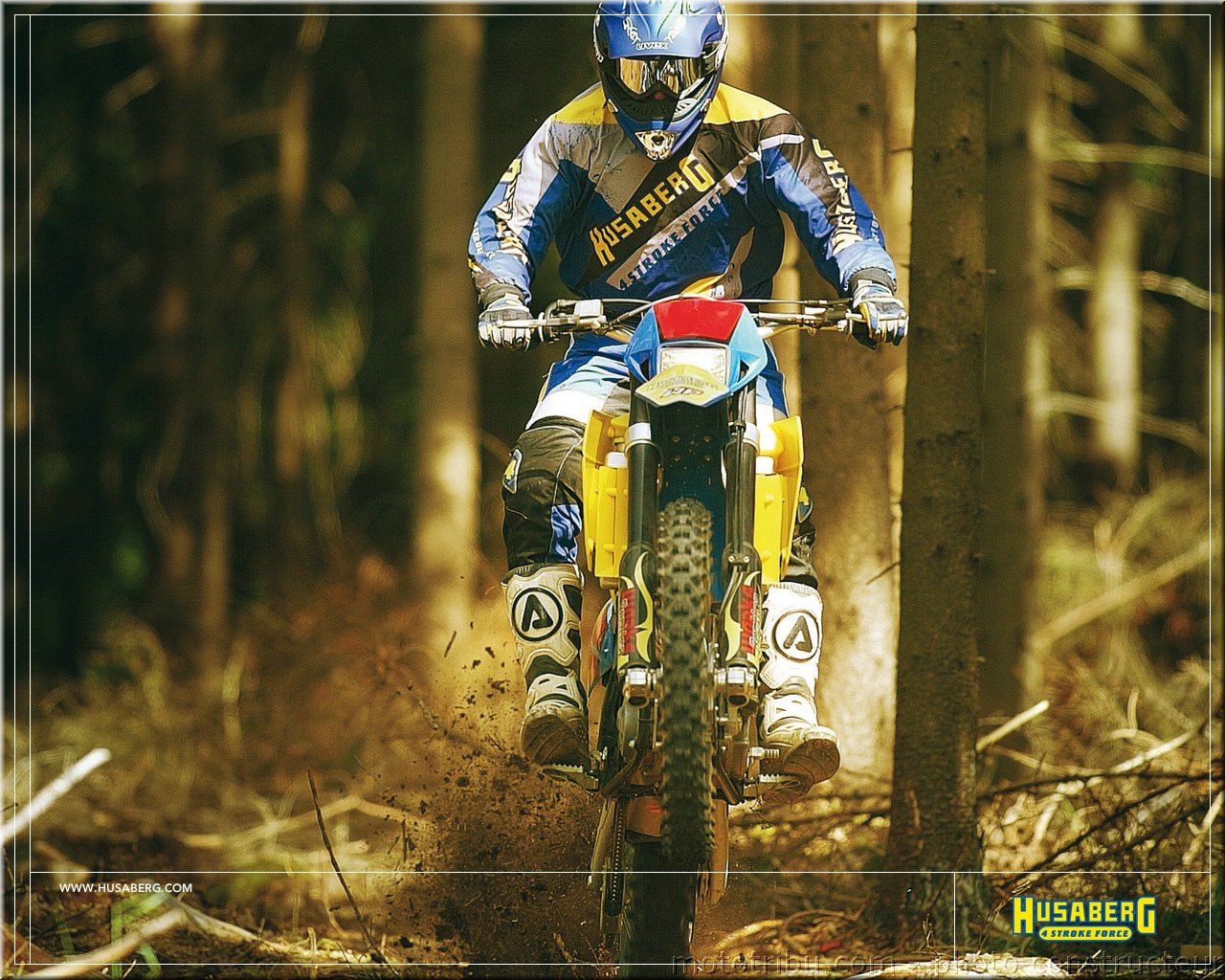 MOTO 
