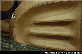 indian_thunder_stroke_111_030.jpg