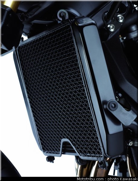 kawasaki_z1000_2007_051