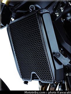 kawasaki_z1000_2007_051.jpg