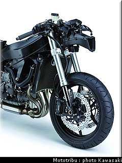kawasaki_zx6r_2007_075.jpg