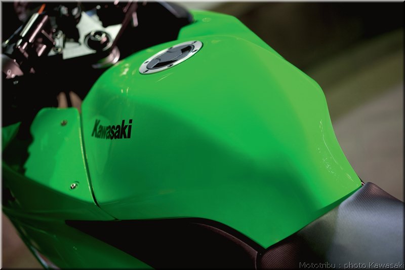kawasaki-250r2008_13