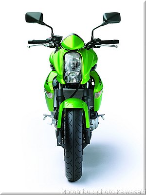 kawasaki-er6n-2008_21.jpg