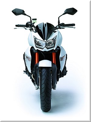 kawasaki-z1000-2008-021.jpg