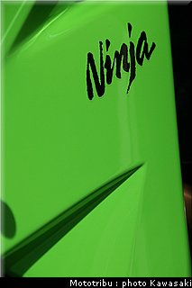 kawasaki_zx10r_2008_0191.jpg