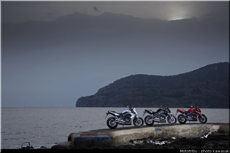 kawasaki_er6n_2009_0003