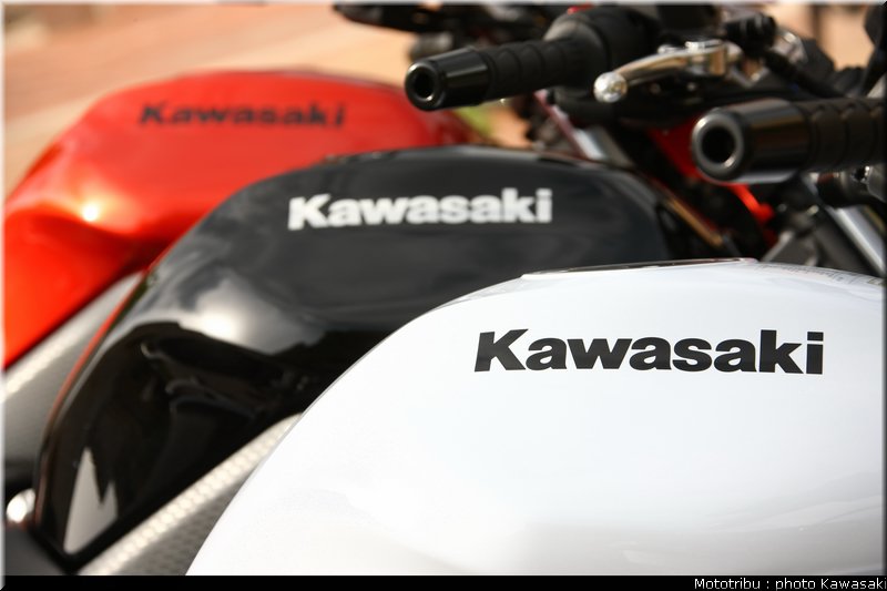 kawasaki_er6n_2009_0035