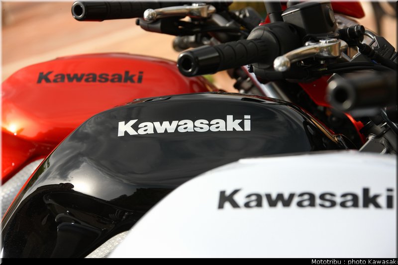 kawasaki_er6n_2009_0036