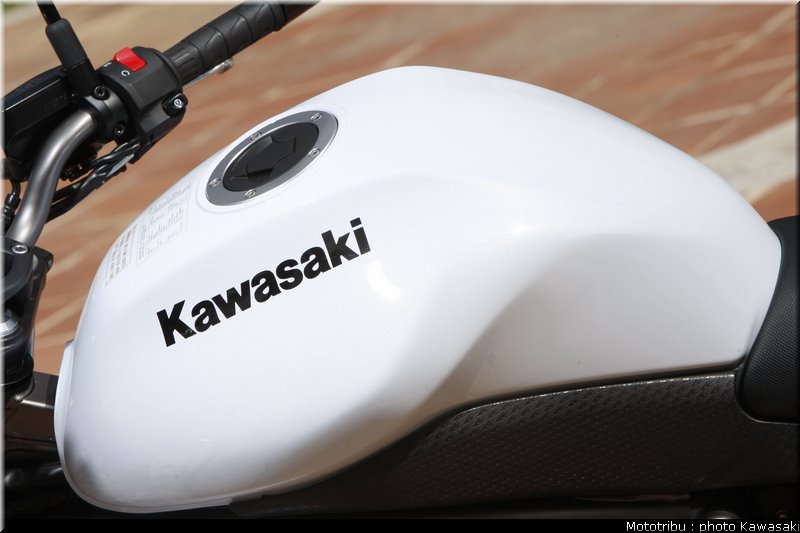 kawasaki_er6n_2009_0085