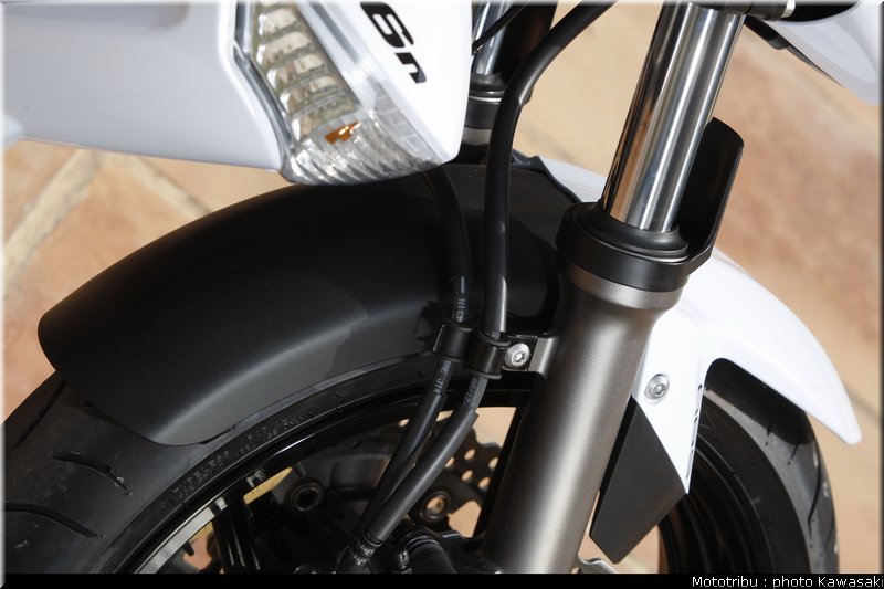 kawasaki_er6n_2009_0110