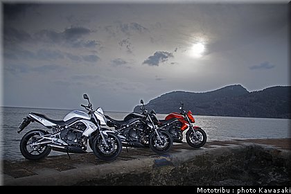 kawasaki_er6n_2009_0002.jpg