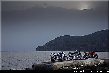 kawasaki_er6n_2009_0003.jpg