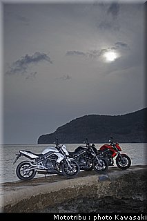 kawasaki_er6n_2009_0012.jpg