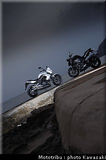 kawasaki_er6n_2009_0013.jpg