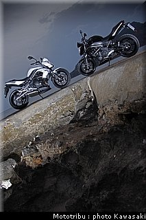 kawasaki_er6n_2009_0014.jpg
