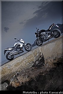 kawasaki_er6n_2009_0015.jpg