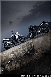 kawasaki_er6n_2009_0016.jpg