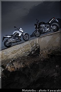 kawasaki_er6n_2009_0017.jpg