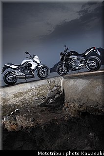kawasaki_er6n_2009_0018.jpg