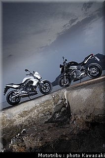 kawasaki_er6n_2009_0019.jpg