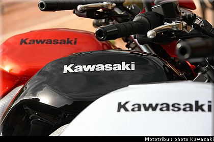 kawasaki_er6n_2009_0036.jpg