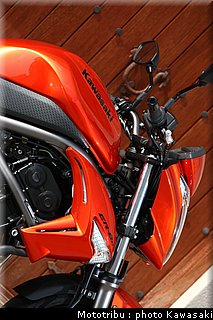 kawasaki_er6n_2009_0044.jpg