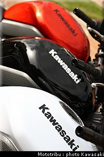 kawasaki_er6n_2009_0046.jpg