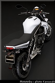 kawasaki_er6n_2009_0072.jpg