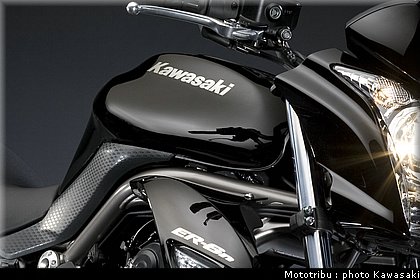 kawasaki_er6n_2009_0073.jpg